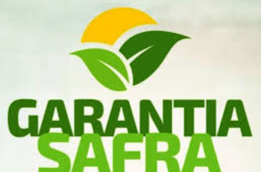  Seguro Garantia Safra – Secretário de Desenvolvimento Rural de Araripina fala sobre situação do município