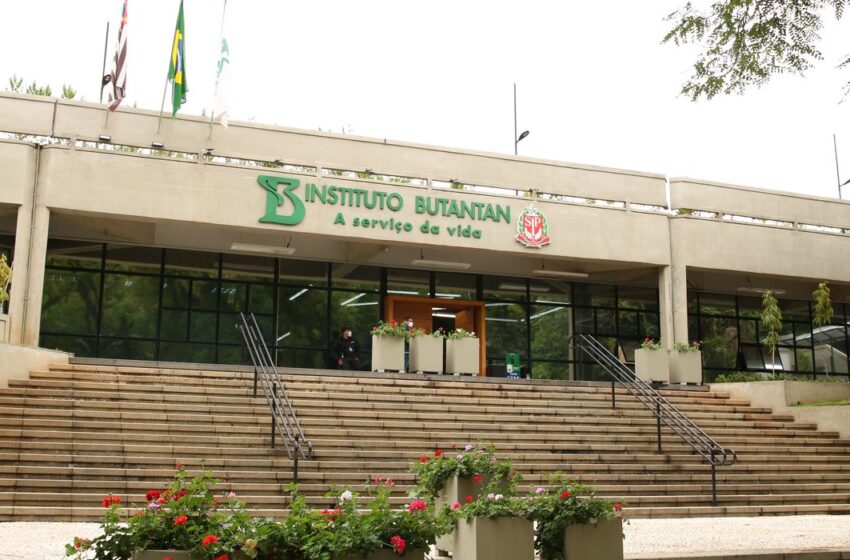  Butantan produzirá remédio contra câncer para o SUS
