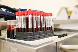  Hemope lança campanha junina para reforçar estoques de sangue em Pernambuco