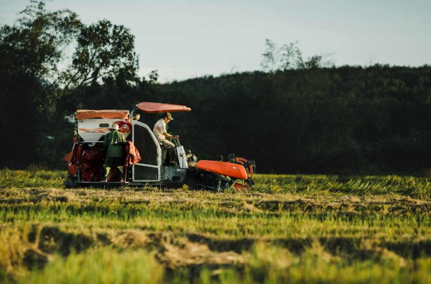  Governo cria nova oportunidade para agricultores renegociarem dívidas