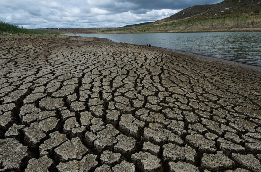  Pernambuco decreta situação de emergência em 75 cidades por causa da estiagem