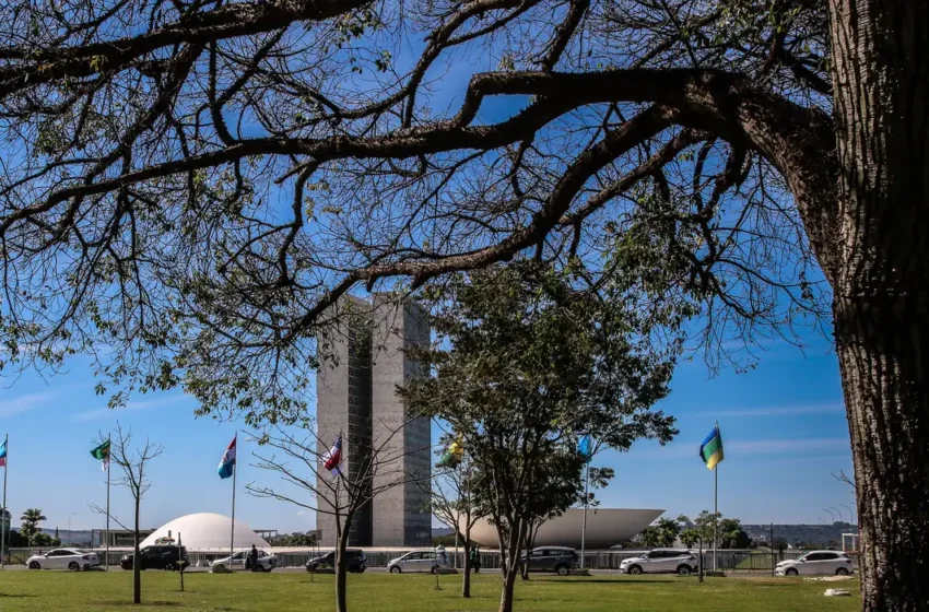  Congresso aumenta punição a crimes sexuais online contra crianças