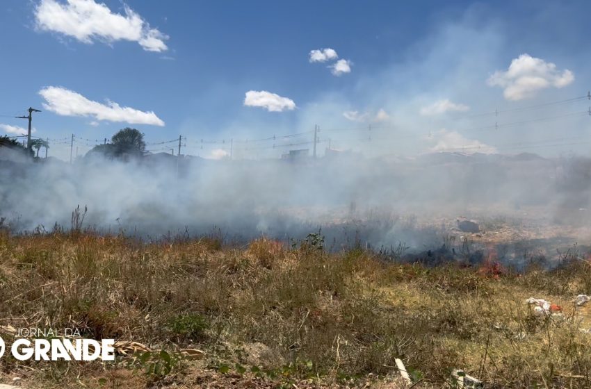  Fogo se espalha por vegetação seca e entulhos às margens da BR-316 e ameaça residências em Araripina