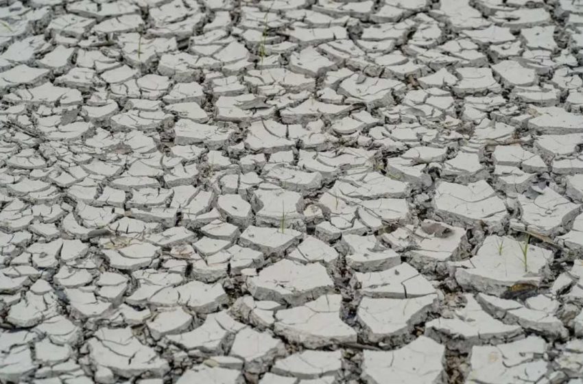  Estiagem atinge 106 municípios de Pernambuco e prejuízos já chegam a R$ 1 bilhão